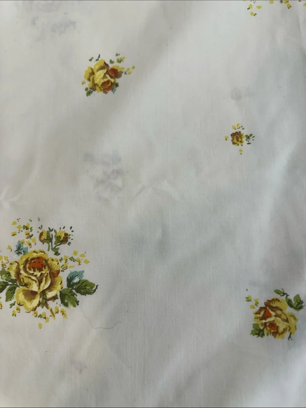 Wondercale by Springmaid Double Flat Sheet Floral Cotton Cream Yellow Rose Print